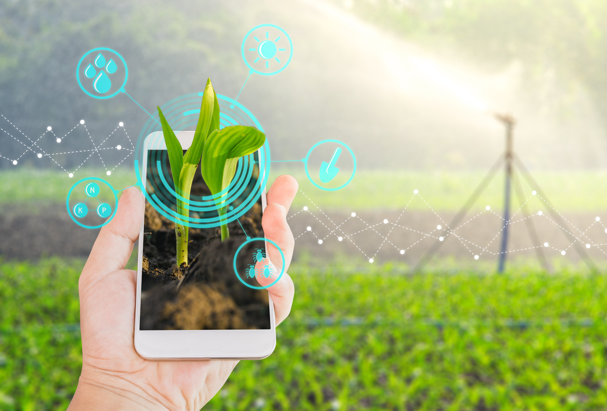 Agricoltura 4.0: incredibile crescita secondo l'Osservatorio Smart Agrifood