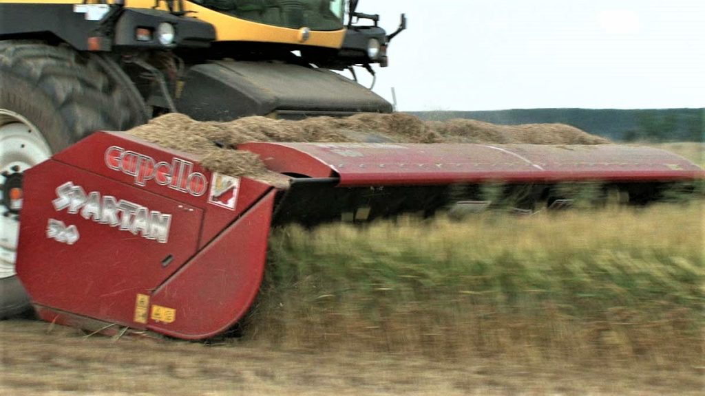 Capello Spartan in azione in cereali