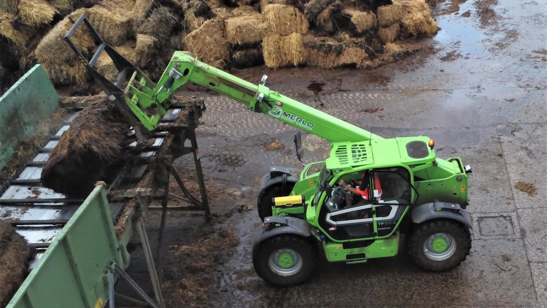 Merlo TF50.8 in azione presso la Agrifung