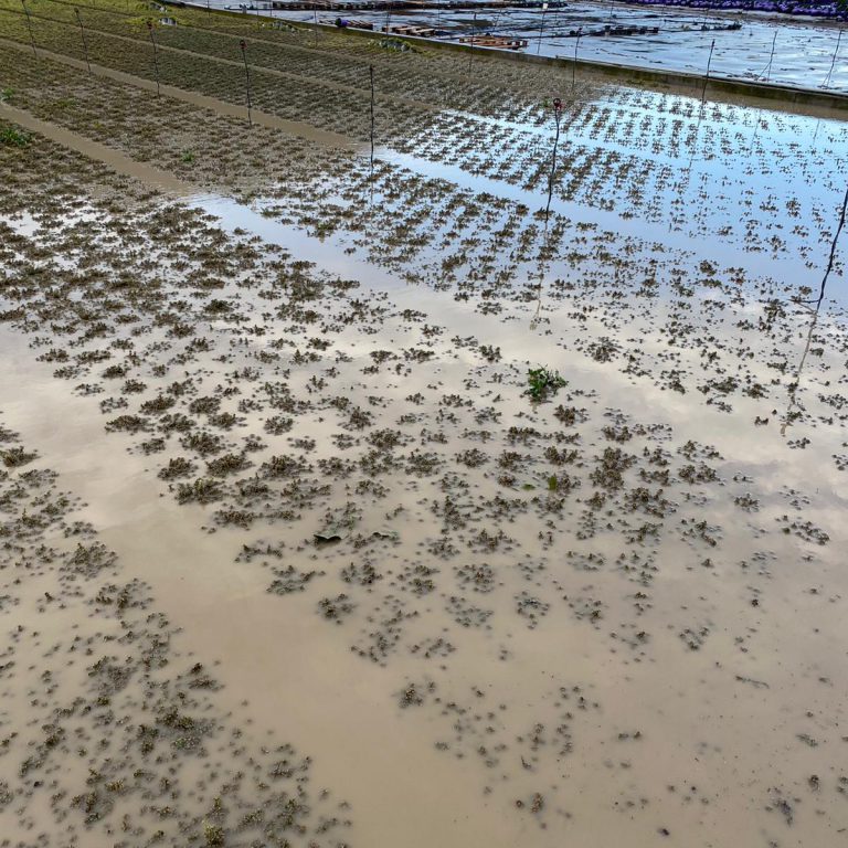 Alluvione del Piemonte