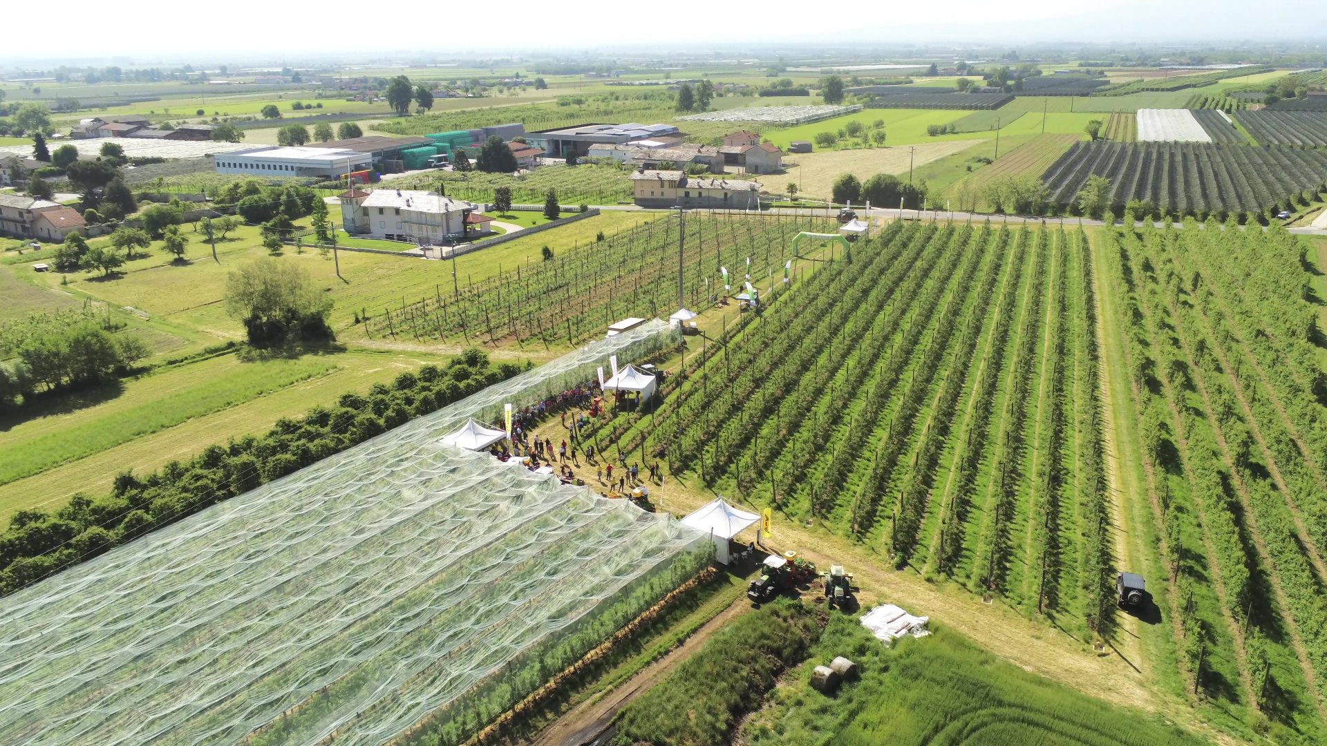 La Flex di Bella Macchine Agricole è stata utilizzata in frutteto