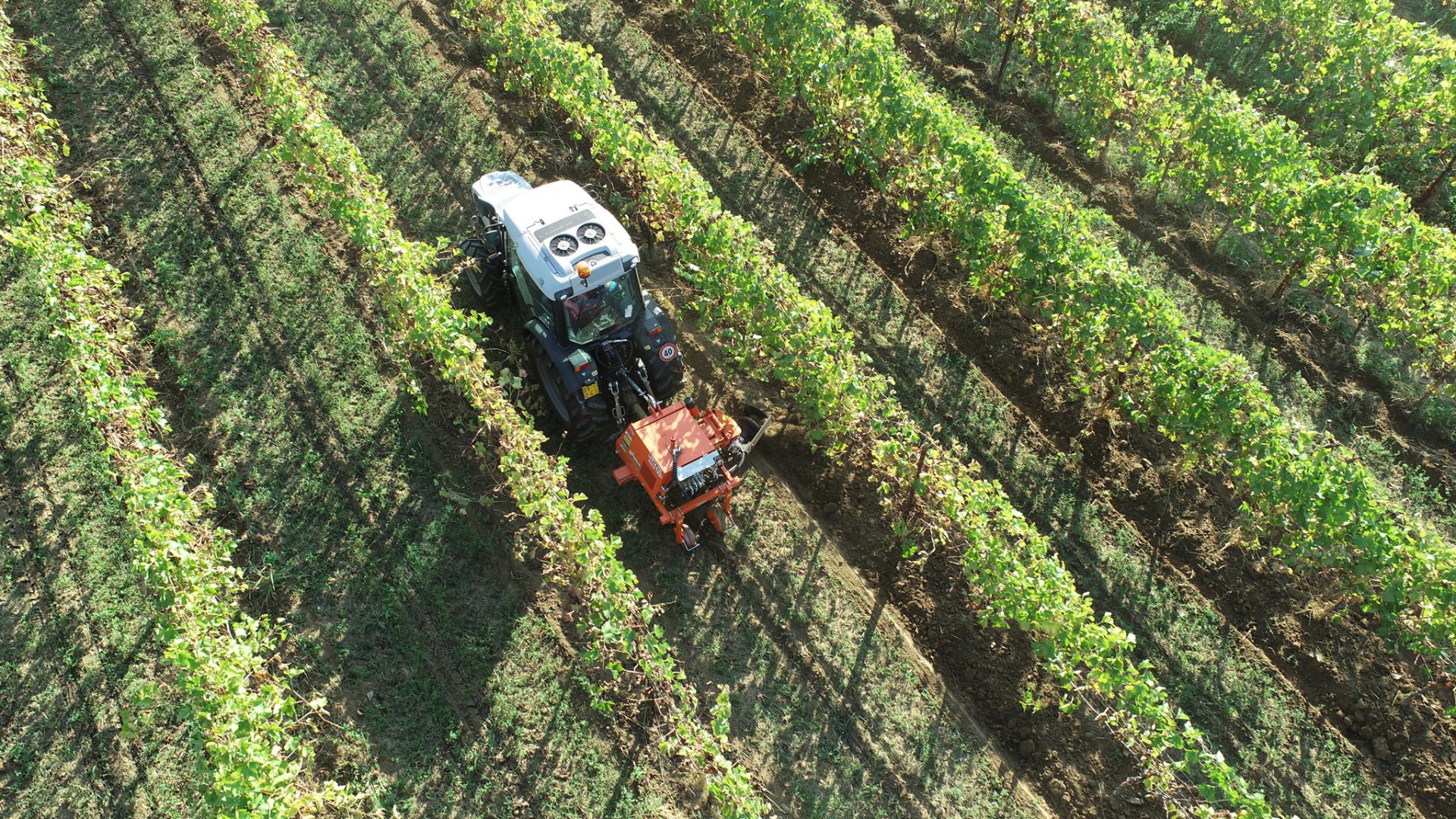 Rinieri è specializzata nelle attrezzature per vigneti e frutteti